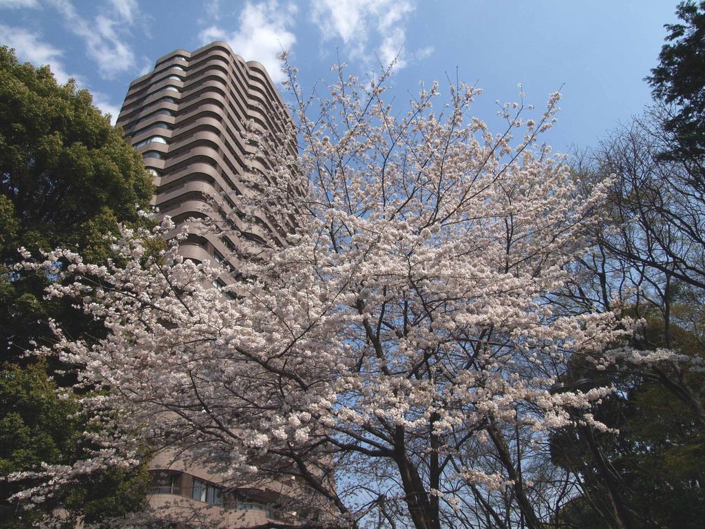 Tokyo Marriott Hotel Екстер'єр фото